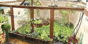 Garden City