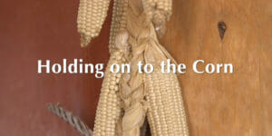 Holding on to the Corn