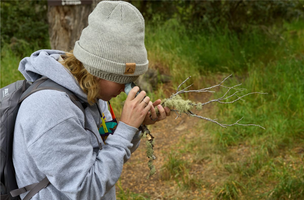 A person is looking closely at the tree branch that is in their hand with a camera